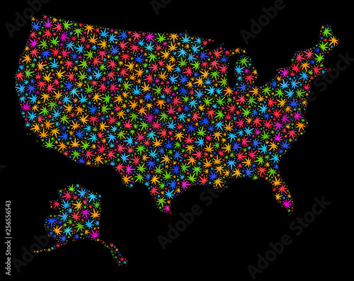 Bright vector cannabis USA with Alaska map collage on a black background. Template with bright weed leaves for marijuana legalize campaign. Vector USA with Alaska map is constructed with ganja leaves.