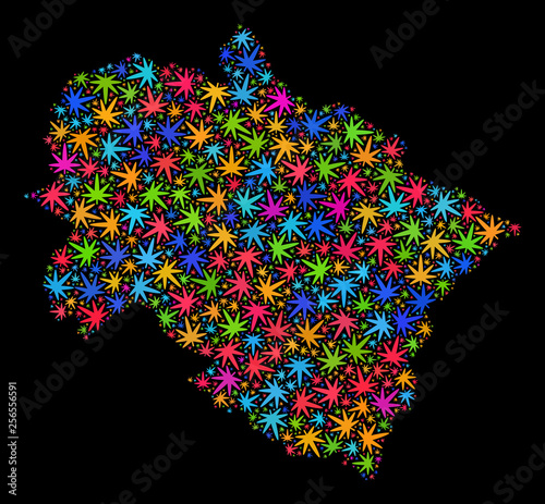 Bright vector marijuana Uttarakhand State map mosaic on a black background. Template with multi-colored herbal leaves for cannabis legalize campaign.