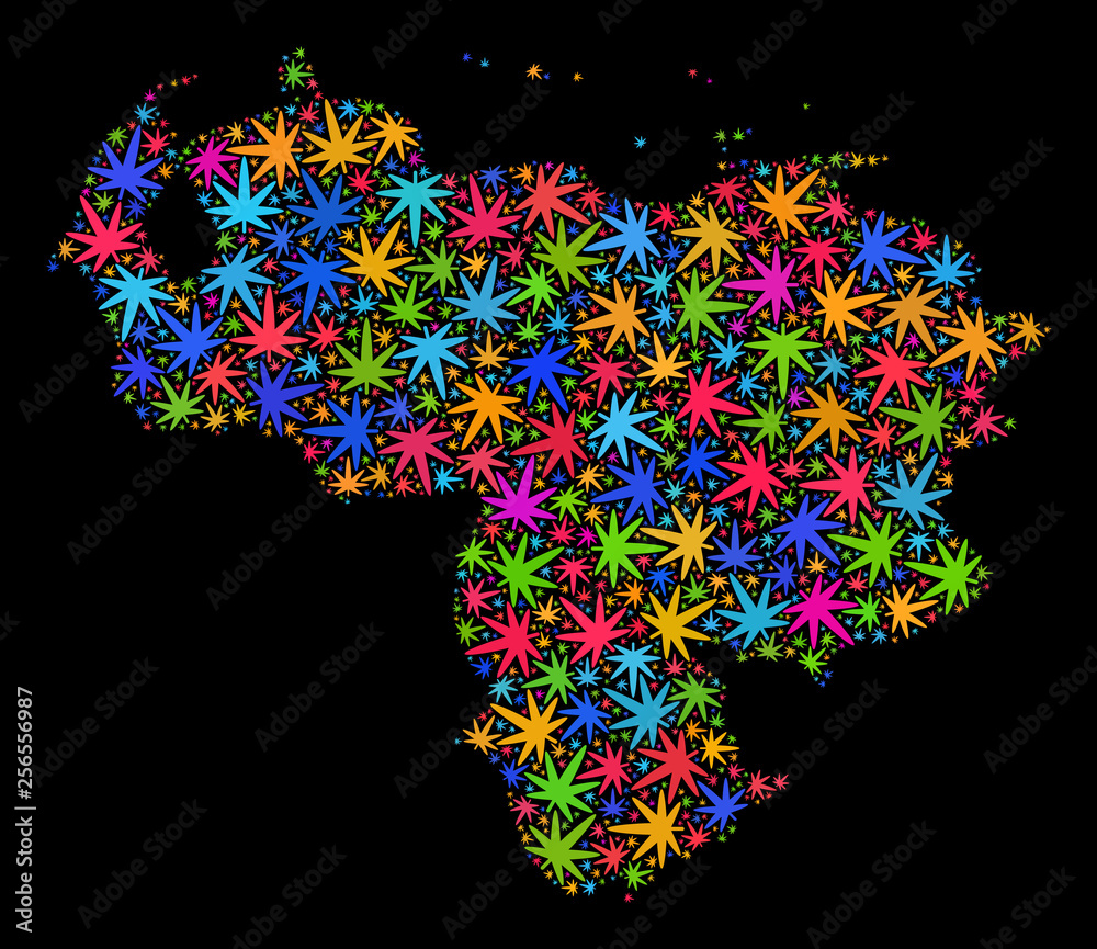 Bright vector marijuana Venezuela map collage on a black background. Template with bright weed leaves for weed legalize campaign. Vector Venezuela map is organized from ganja leaves.