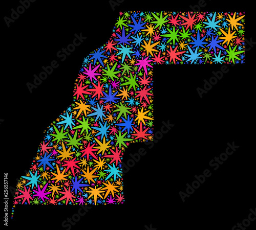 Bright vector cannabis Western Sahara map collage on a black background. Template with multi-colored weed leaves for cannabis legalize campaign.