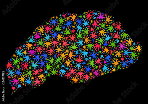 Bright vector marijuana Wrangel Island map collage on a black background. Concept with colorful weed leaves for weed legalize campaign. Vector Wrangel Island map is composed from weed leaves.