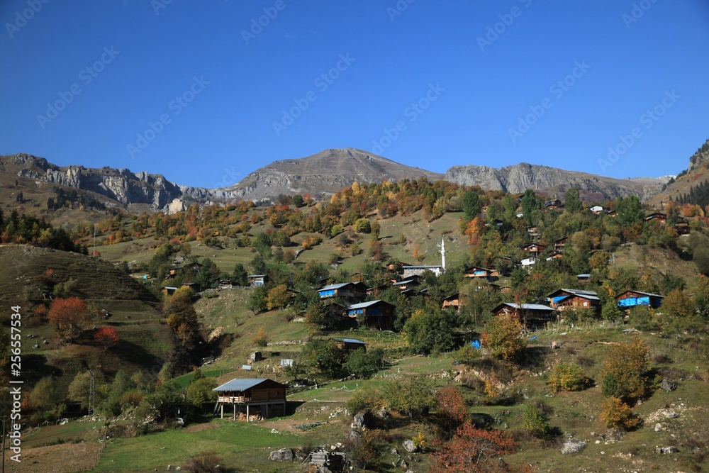 Autumn forest nature. Vivid morning in colorful forest with sun rays through branches of trees.savsat/artvin/turkey