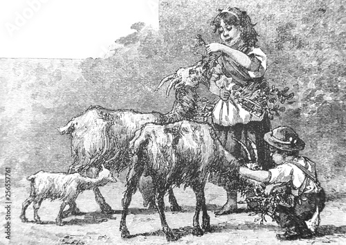 Children with goats - Vintage Engraved Illustration, 1894