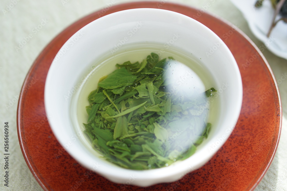 新茶の開いた葉 新茶の開いた葉