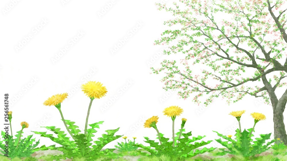 タンポポと葉桜のイラスト素材 Stock Illustration Adobe Stock