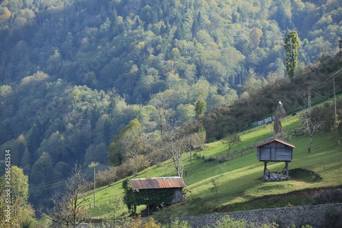 Hill valley during sunset and a beautiful green field.savsat/artvin/turkey