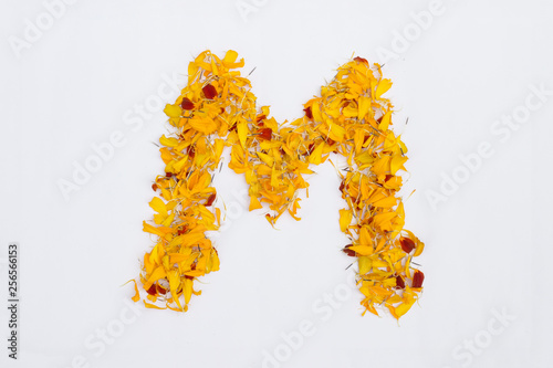 Spring Flower Letter concept of Marigold petal. Marigold petal alphabet isolated on white background. Letter M concept Logo.