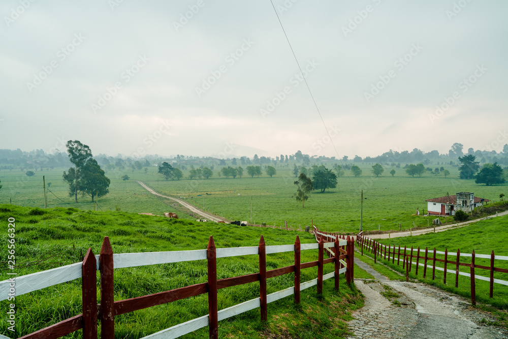 Green landscape with a fence and a road