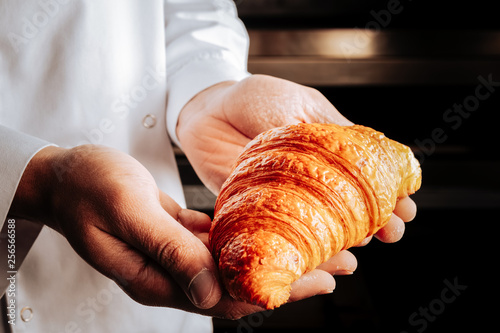 Nice little yummy croissant in hands of professional baker Poster Mural XXL