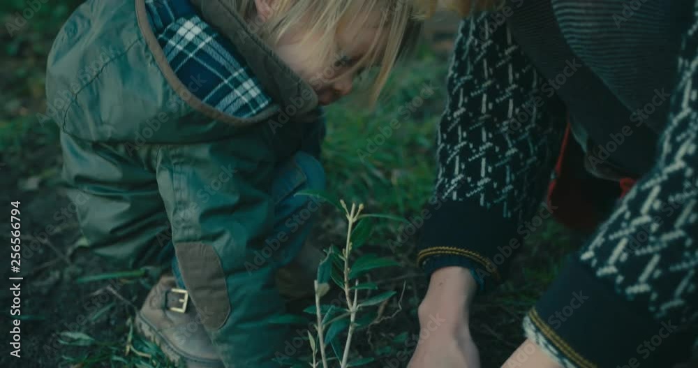 Young mother and her toddler planting a tree in their garden Young mother and her toddler planting a tree in their garden