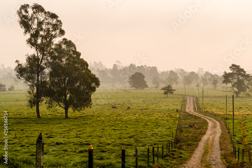 Road on the countryside of Colombia