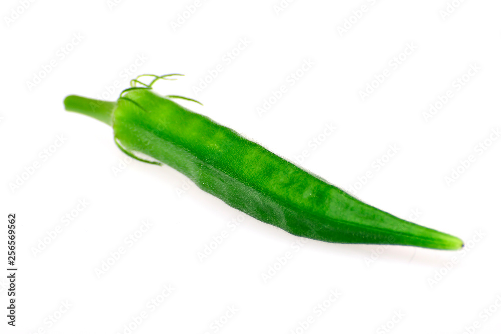 Okra isolated on white backgrond. Okra isolated on white backgrond.