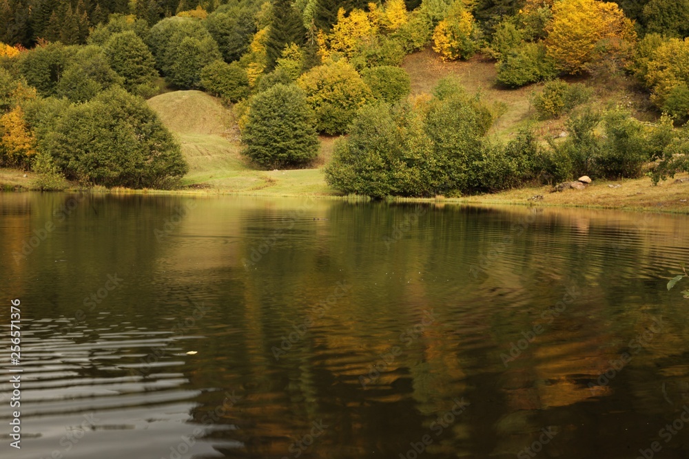 Autumn colorful foliage with lake reflection. savsat/artvin/turkey