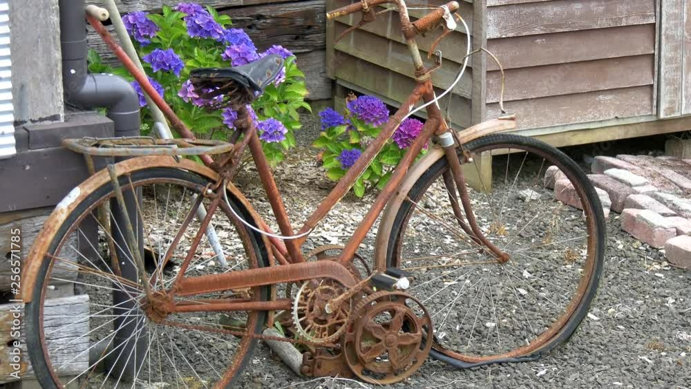 shot of a rusty abandon old bicycle
