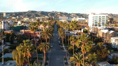 Palm tree lined street in Beverly Hills with Hollywood Hills in background on a late sunny, clear afternoon