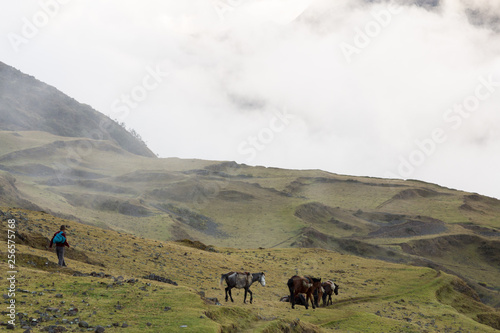 Andes people  herding horse at the montains