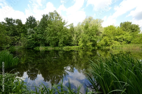 Pond in the Park in spring