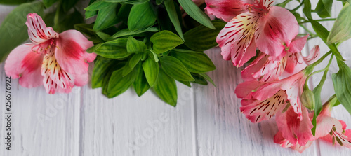 Fototapeta Naklejka Na Ścianę i Meble -  Background for text banner on a white wooden background with pink flowers. Blank, frame for text. Greeting card design with flowers. Aalstroemeria on wooden background. View from above