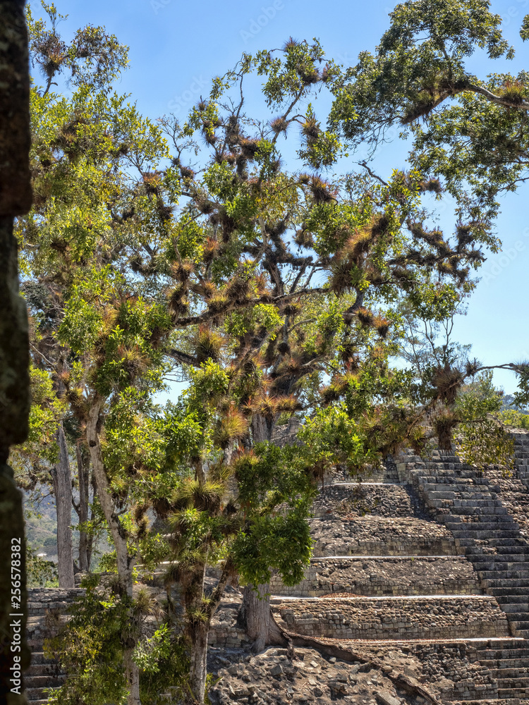 Copan archaeological site of Mayan civilization, not far from the border with Guatemala. It was the capital of the main classical kingdom period from the 5th to the 9th century AD. Copan archaeological site of Mayan civilization, not far from the border with Guatemala. It was the capital of the main classical kingdom period from the 5th to the 9th century AD.