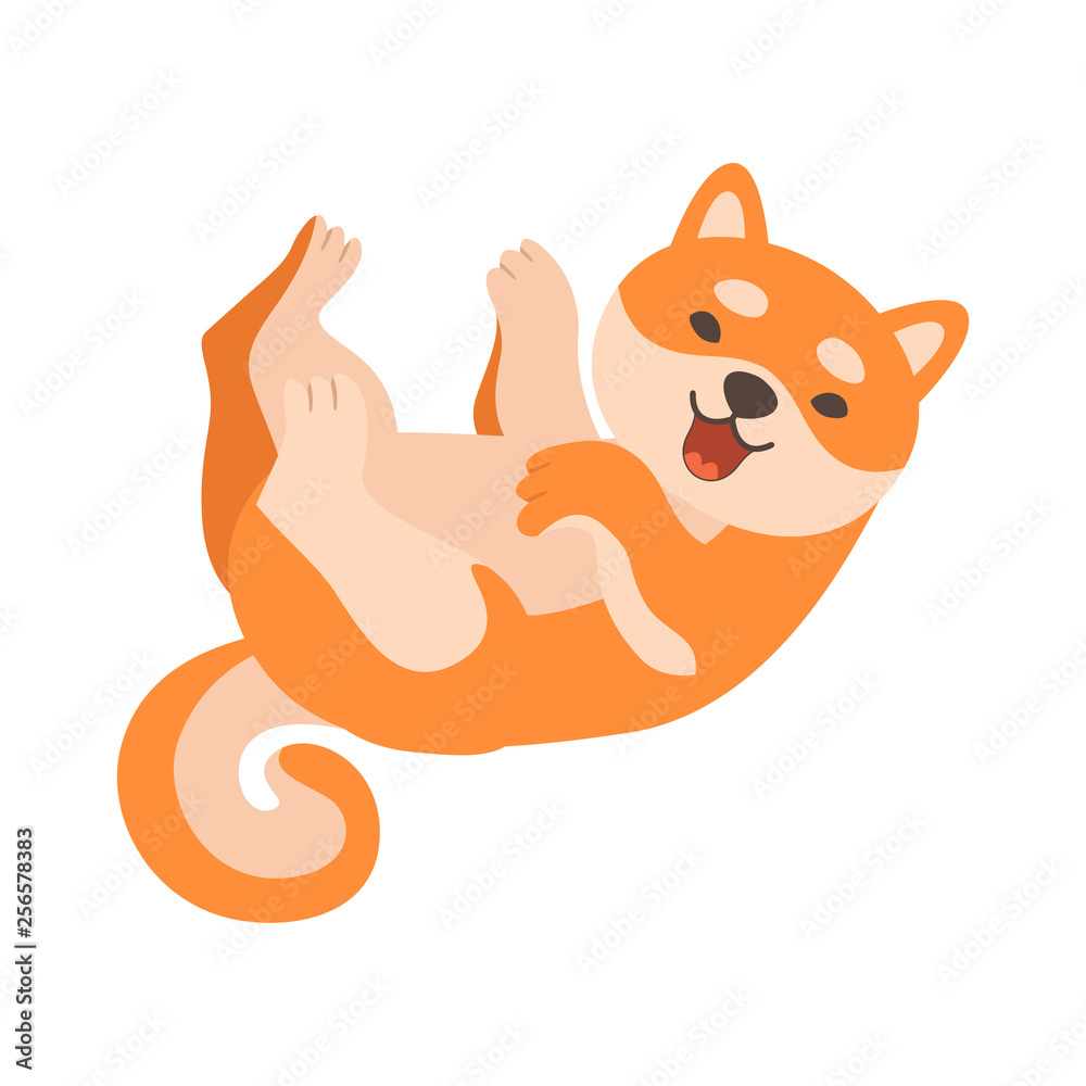 Fototapeta premium Shiba Inu Dog Lying on Its Back, Cute Funny Japan Pet Animal Cartoon Character Vector Illustration