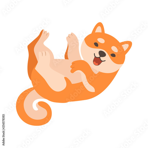 Shiba Inu Dog Lying on Its Back, Cute Funny Japan Pet Animal Cartoon Character Vector Illustration