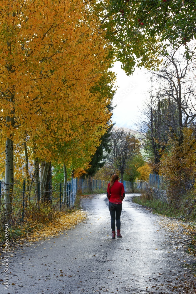 Woman walking on misty autumn forest road .turkey