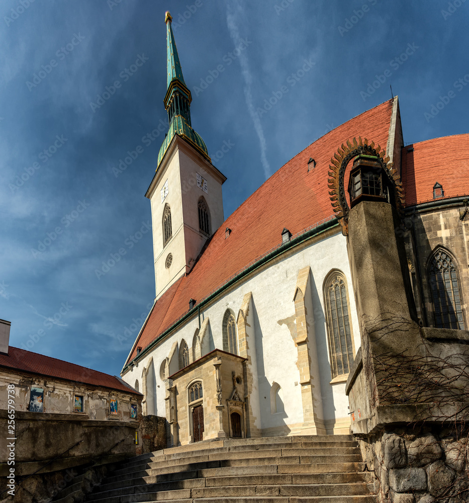 Fototapeta premium Krönungskirche Hl. Martin in Bratislava