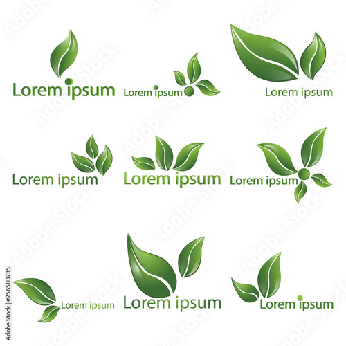 Leaf realistic vector logotypes, logo set of nine beautiful nature sign, spring time , for spa, organic food or alternative medicine center web and print . 