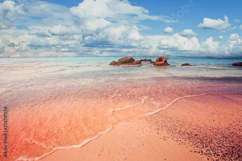 Obraz Piękna plaża Elafonissi na Krecie, Grecja. Różowy piasek, błękitna woda morska i chmury niebo