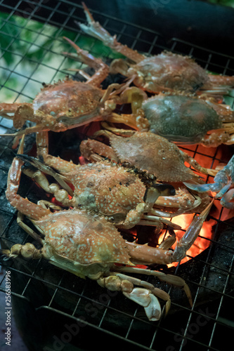blue swimming crab grilled