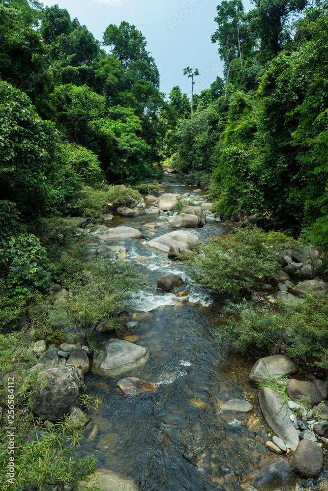 running of water stream from waterfall in tropical rain forest