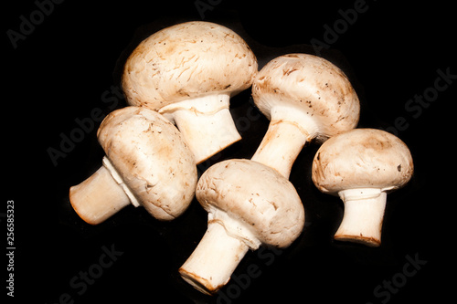 mushrooms isolated on black background
