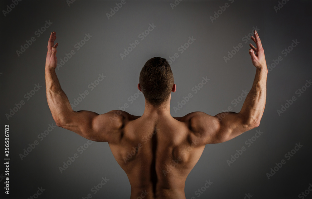 Muscular back, male naked, healthy muscular guy, torso man. Muscled back, strong man, bodybuilder, muscular men. Sporty guy, male power. Fitness muscled man. Athletic caucasian. Bodybuilding, ab, sexy Muscular back, male naked, healthy muscular guy, torso man. Muscled back, strong man, bodybuilder, muscular men. Sporty guy, male power. Fitness muscled man. Athletic caucasian. Bodybuilding, ab, sexy