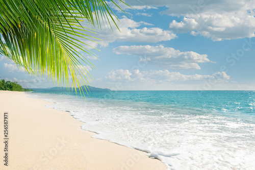View of nice tropical beach with some palms © Dmitry Ersler
