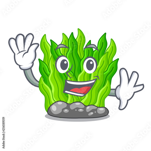 Waving green seaweed isolated with the character