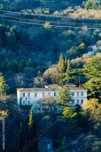 Wallpaper Mural Botanical garden in Tbilisi, Georgia. Natural places and attractions. Torontodigital.ca