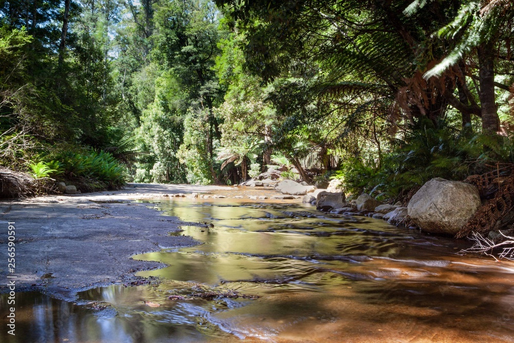 Fototapeta premium Above the pretty Liffey Falls in Tasmania, Australia, the creek bed is slabs of almost level rock.
