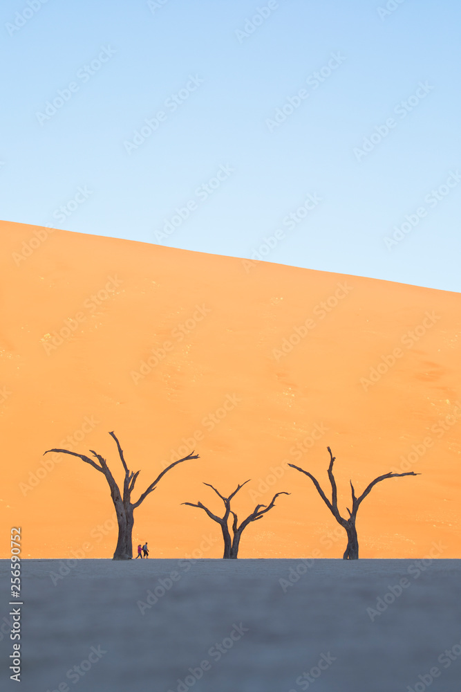 Trees in Deadvlei, Sossusvlei, Namibia.