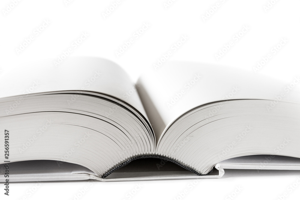 Open blank dictionary, book on white background Open blank dictionary, book on white background