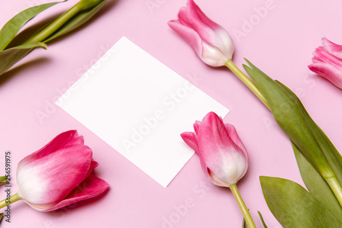 Spring mockup with pink blank paper list and pink tulip flowers on pink background top view. Beautiful floral composition for design. Flat lay