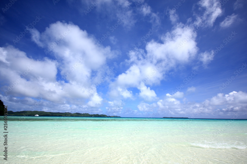 Obraz premium blue sky