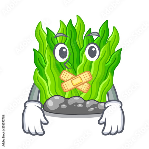 Silent green seaweed in a cartoon aquarium
