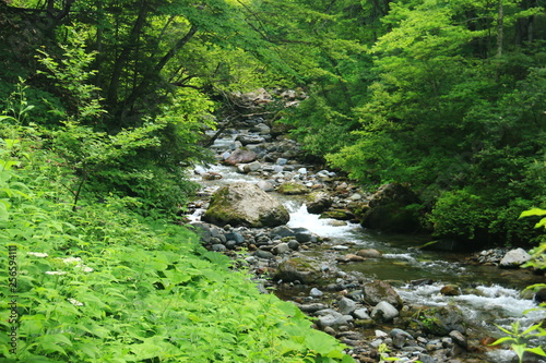 幌尻岳山頂への道　額平川沢歩き　徒渉