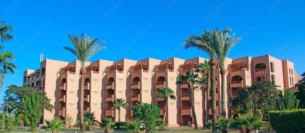 Palm trees and tropical vegetation growing in courtyard of resort