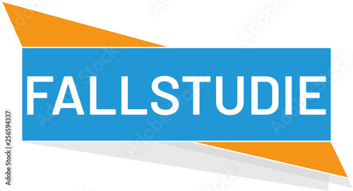 vector Button Fallstudie	