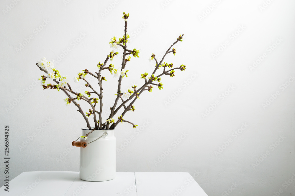 cherry flower blossom branch in old enamel milk canister at white wooden table, bright wall, home decoration springtime cherry flower blossom branch in old enamel milk canister at white wooden table, bright wall, home decoration springtime