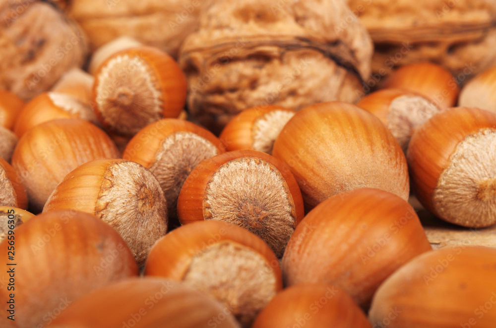 Walnuts and hazelnuts on a wooden table Walnuts and hazelnuts on a wooden table
