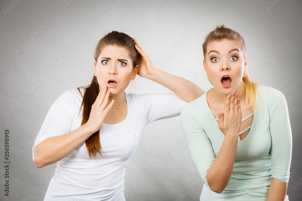Two shocked and amazed women Two shocked and amazed women