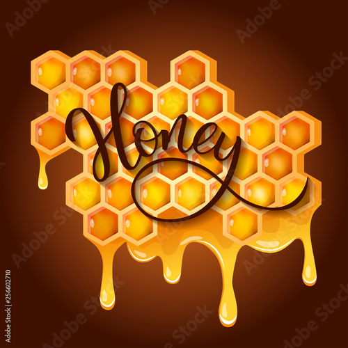 Honeycomb with flowing honey and  original hand lettering  Organic Honey