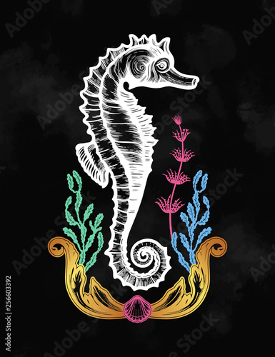 Hand drawn seahorse with sea plants. Vintage vector illustration.